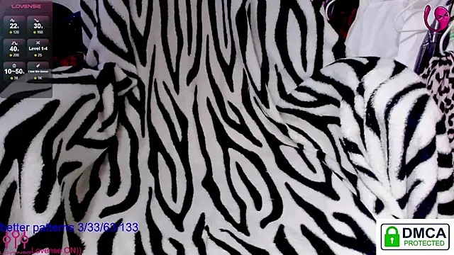 sweet cute cat online show from 06.20.26