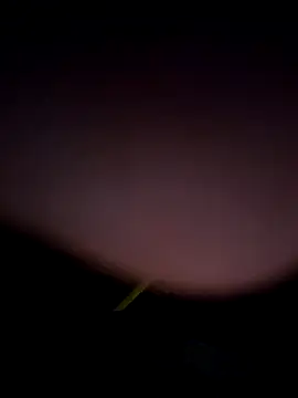 tropikboy online show from 02.25.26