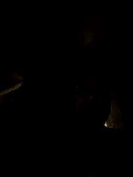 tropikboy online show from 03.21.26