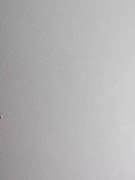 mister-dwt online show from 10.12.25