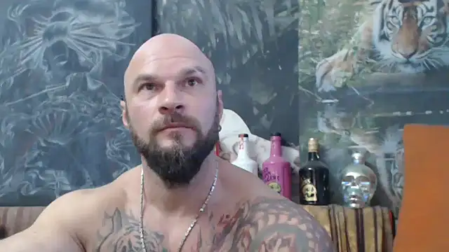 viking 30 online show from 10.04.25