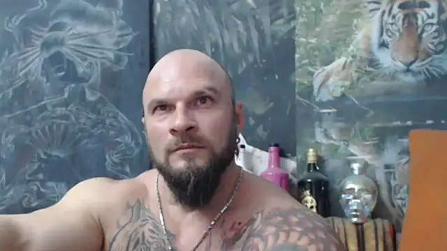 viking 30 online show from 11.04.25