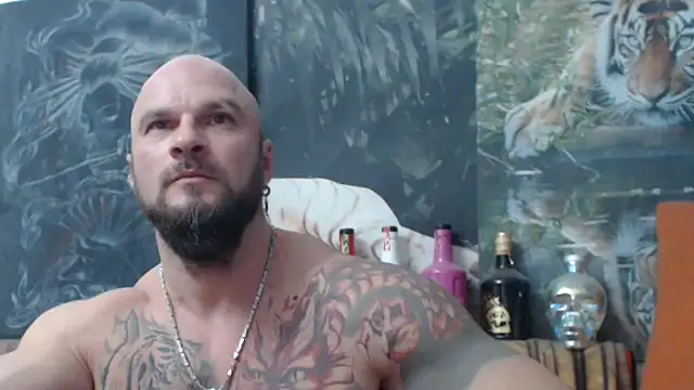 viking 30 online show from 11.08.25