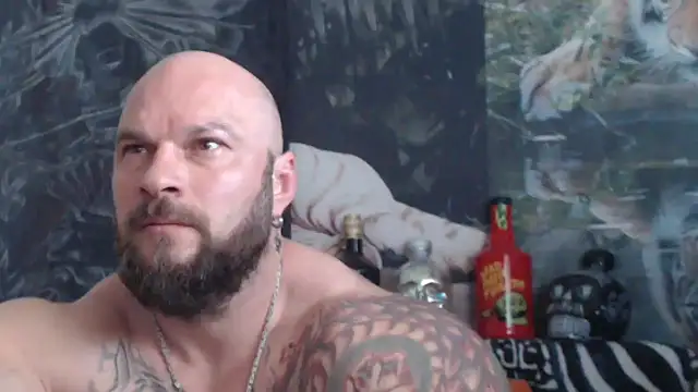 viking 30 online show from 05.21.26