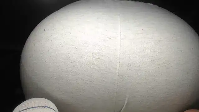 Snapshot of prettyangelsquirt chatting on 10.04.25 prettyangelsquirt online show from 10.04.25