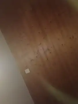 Kw8585kw online show from 03.01.26