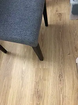 Snapshot of Mindnorthcam2 chatting on 12.25.24 Mindnorthcam2 online show from 12.25.24