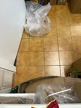 Snapshot of Mindnorthcam2 chatting on 02.16.26 Mindnorthcam2 online show from 02.16.26