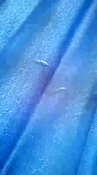 Luismiguel55 online show from 03.08.25