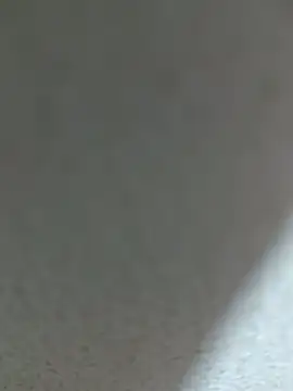 Fghjxdgbbcd online show from 01.15.26