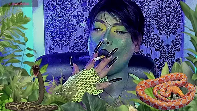 tsviolett online show from 10.01.25