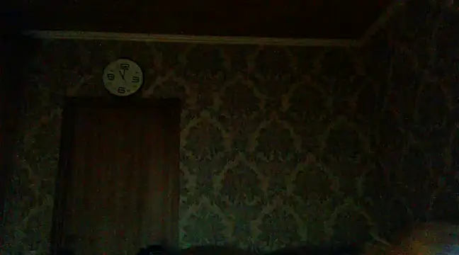 WildMissNiks online show from 12.02.24