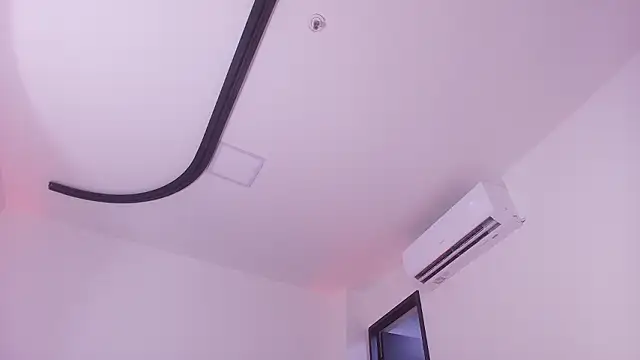 mister miike online show from 02.03.26