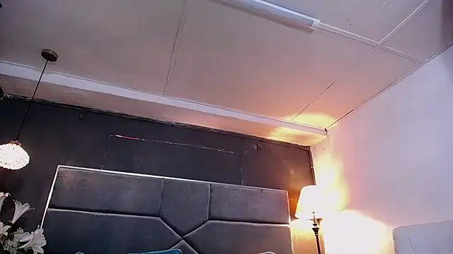 teddyfit19cm online show from 01.12.26