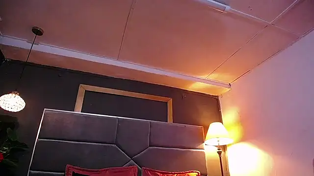 teddyfit19cm online show from 04.10.26