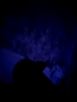 alfiebrown007 online show from 03.02.26