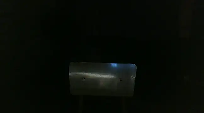 venenus online show from 01.29.25