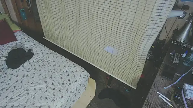sex4fun 21 online show from 06.01.26