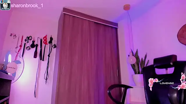 Snapshot of sharon_1 chatting on 11.04.25 sharon 1 online show from 11.04.25