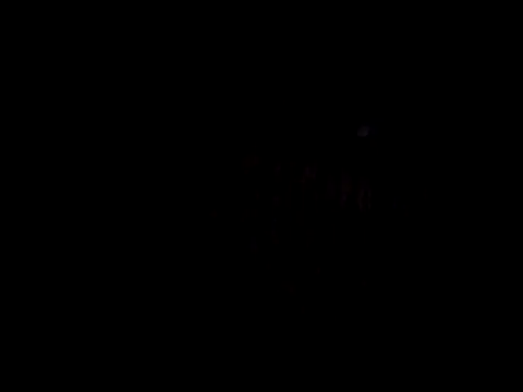 catdool online show from 02.14.25