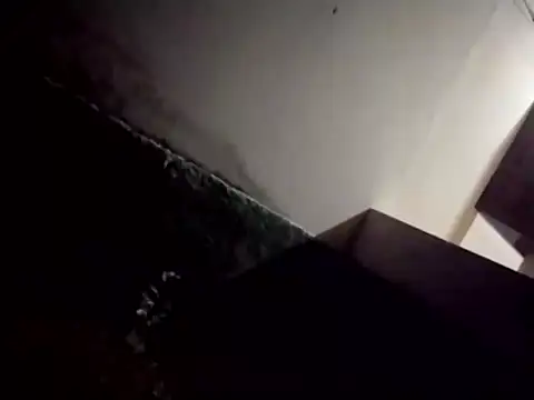 catdool online show from 02.28.25