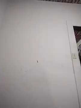 Snapshot of catdool chatting on 02.06.26 catdool online show from 02.06.26