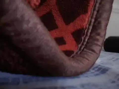 Steffan55 online show from 02.17.25