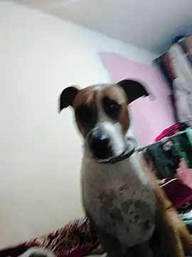 JoLeNe27 online show from 10.06.25