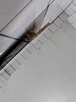 cindy01113520 online show from 10.02.25