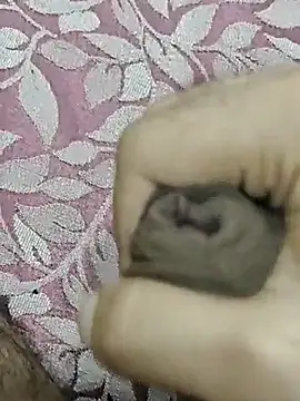 Snapshot of rockkyy9 chatting on 10.11.25 rockkyy9 online show from 10.11.25