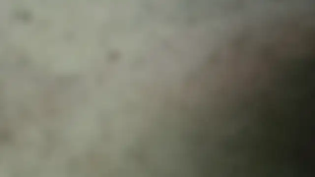 netuhubby online show from 01.24.25