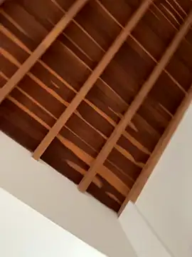 curchez  online show from 01.07.26