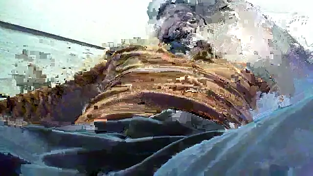 Billywax online show from 01.08.26