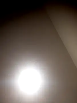 sua sub  online show from 03.23.26