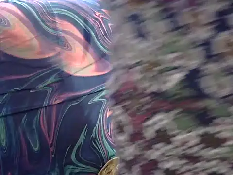 Your wild Dia online show from 02.16.26