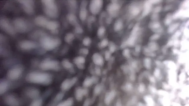 ADRIANNA FOX online show from 02.21.25