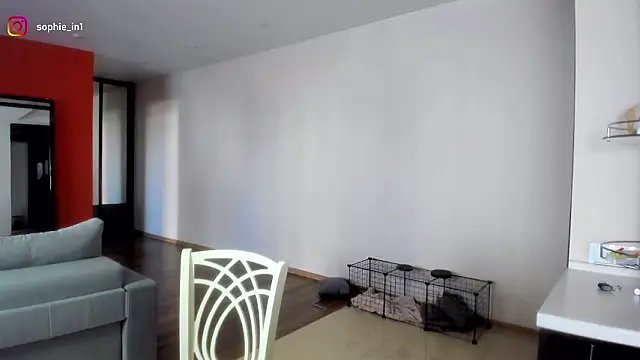  in yan online show from 03.16.26