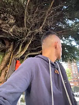 yequeal online show from 12.03.24