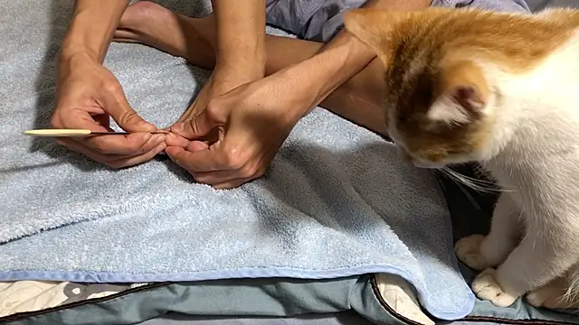 RiderFloor online show from 02.08.26