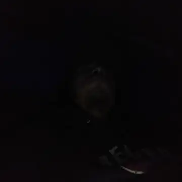 AlexAlejandro13 online show from 02.03.26