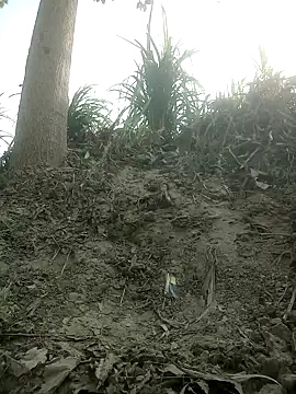 FinableKnee online show from 10.15.25