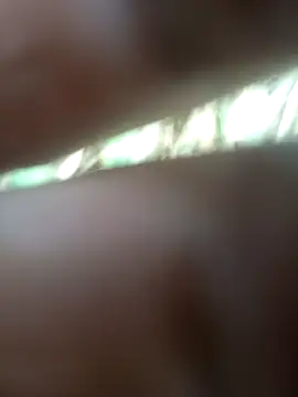 FinableKnee online show from 11.21.25