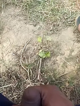 FinableKnee online show from 11.29.25