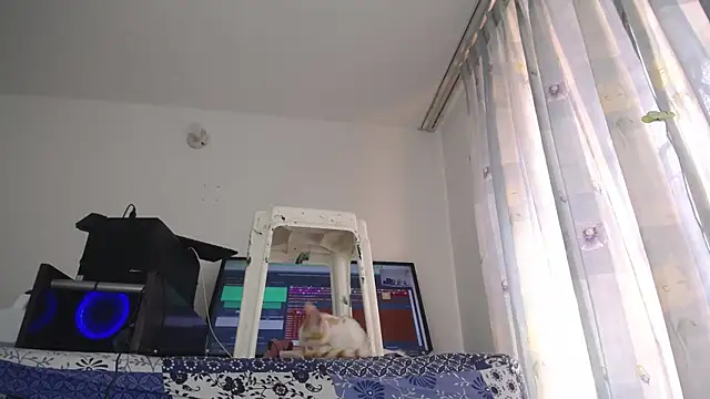 Snapshot of eolicasex chatting on 02.01.25 eolicasex online show from 02.01.25