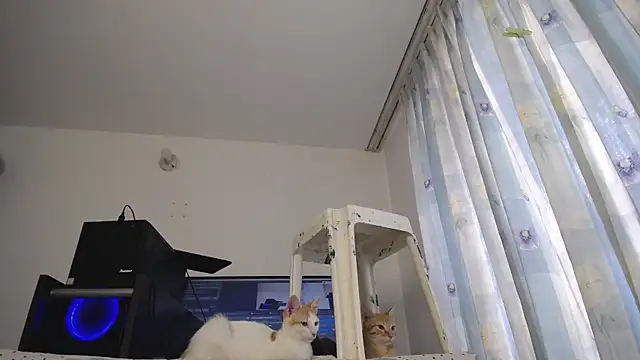 Snapshot of eolicasex chatting on 03.07.25 eolicasex online show from 03.07.25