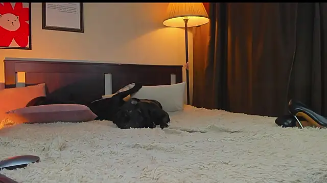 Lav Tender online show from 02.01.26