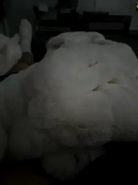 Snapshot of Furdale chatting on 11.05.25 Furdale online show from 11.05.25