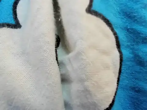 bigbooty29 online show from 09.29.25