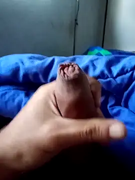 rodovlaz online show from 04.02.26