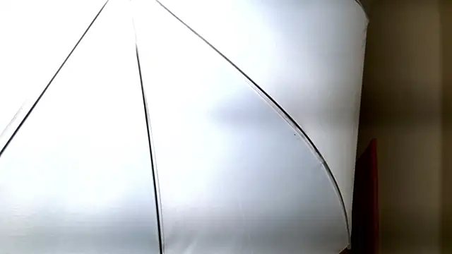 Snapshot of Ledy_Mary chatting on 11.08.25 Ledy Mary online show from 11.08.25